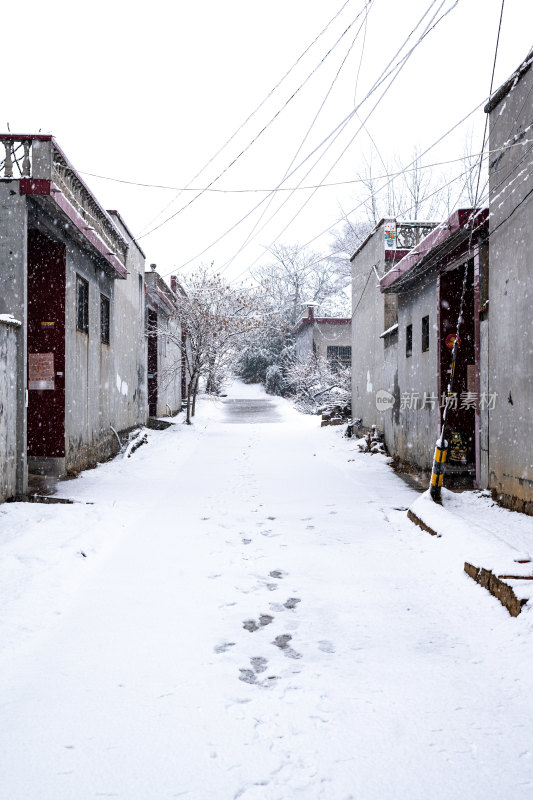 乡村雪地雪景