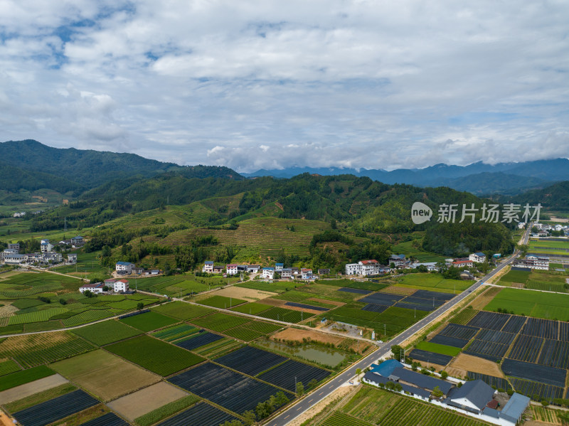 航拍武夷山绿色农田与茶园