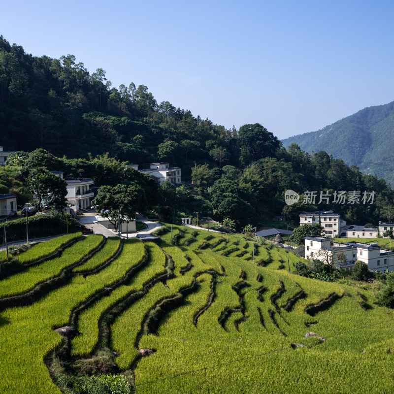 山间梯田村庄美景