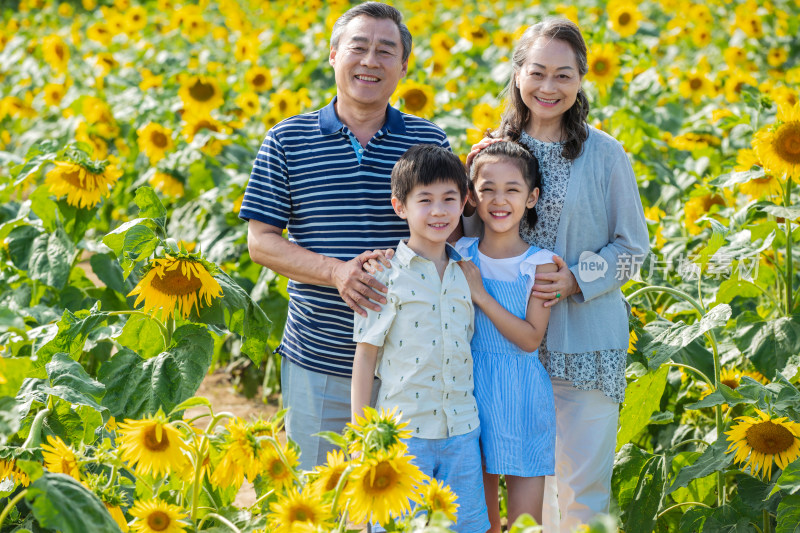 幸福家庭站在花海里