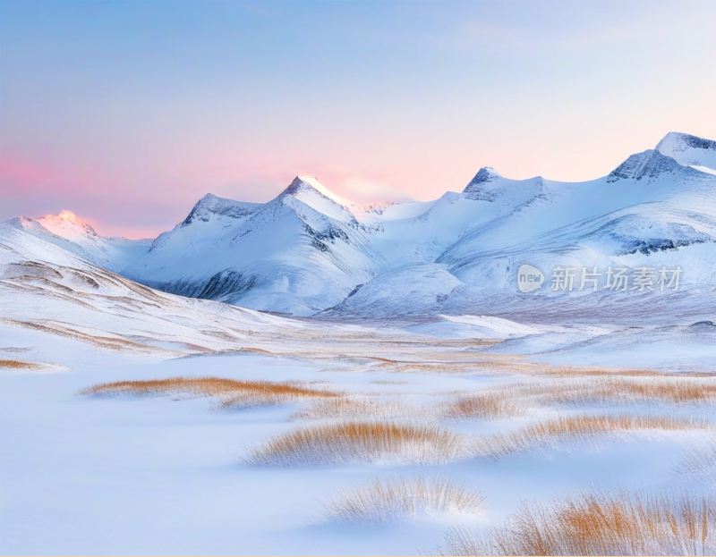 高山雪地