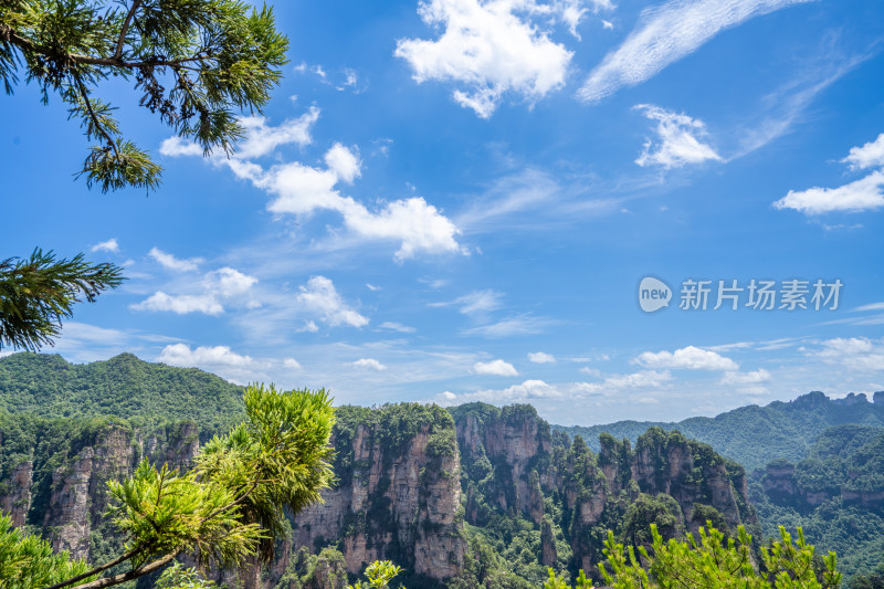 中国湖南张家界景区奇特山峰与茂密森林