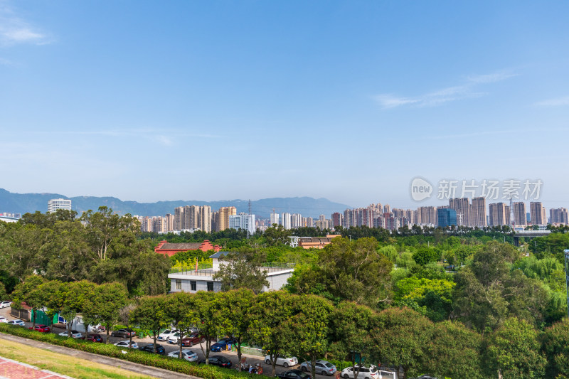 绿树环绕的城市建筑群风景