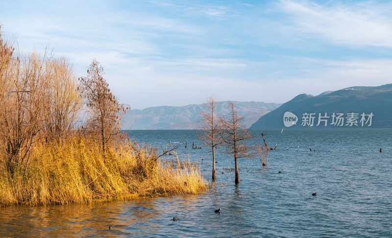 云南旅游大理洱海蒙自弥勒建水元阳梯田景区