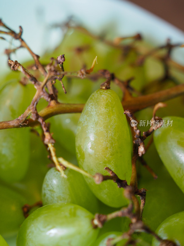 绿葡萄特写