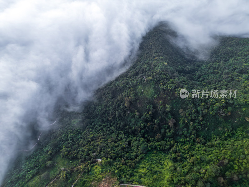 航拍山间云雾中的森林