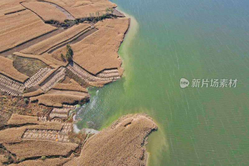 吉林，航拍的松花湖与玉米地