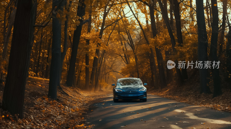 现代电动汽车在充满秋天气息的森林小路上