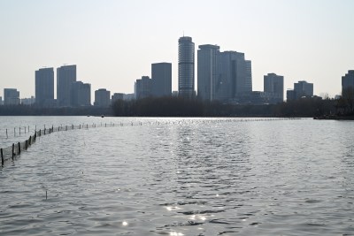 南京玄武湖湖畔城市天际线景观