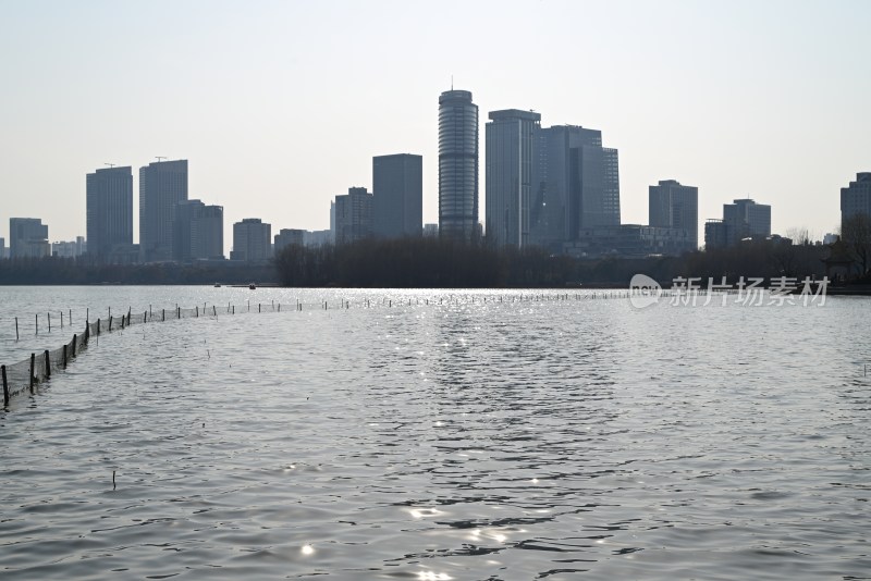 南京玄武湖湖畔城市天际线景观