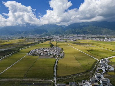 大理稻田航拍风光