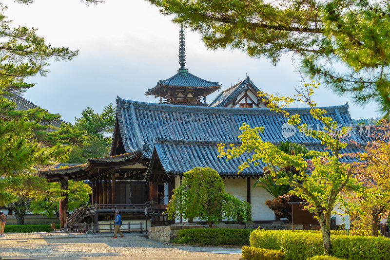 日本奈良古建筑