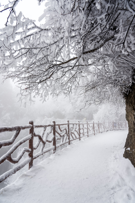 寒冷冬季景区雪后栈道