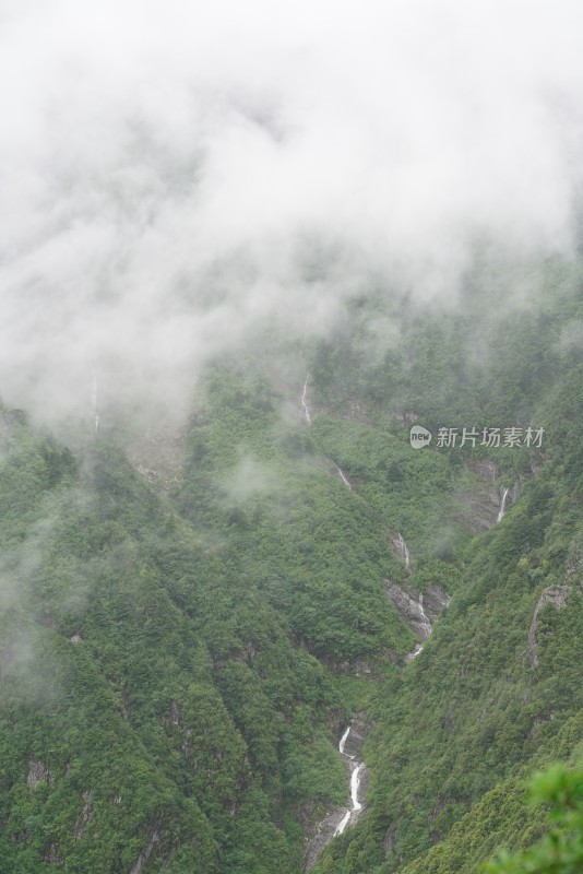 云雾缭绕的山林自然景观