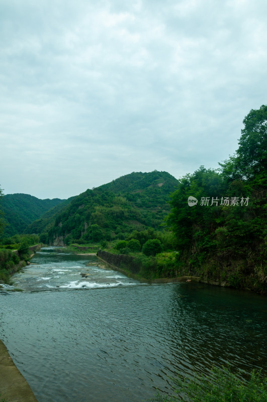 山中的自然风景