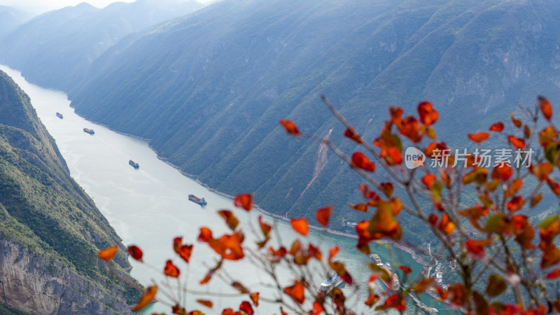 长江三峡巫峡红叶