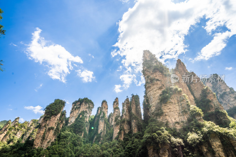 中国湖南张家界景区奇特山峰与茂密森林