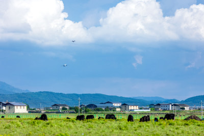 香格里拉纳帕海景区