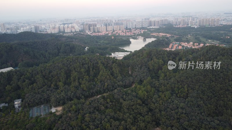 广东东莞：东城街道城市风光