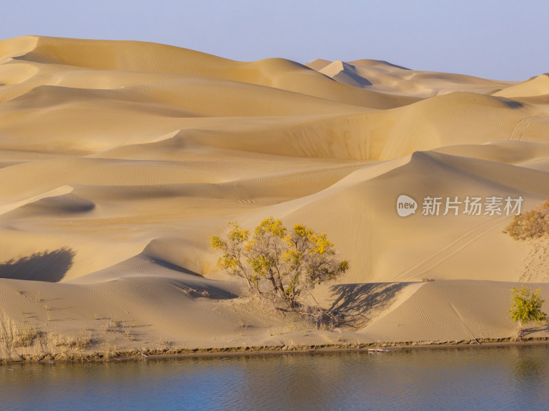 新疆南疆巴州塔克拉玛干沙漠沙丘航拍