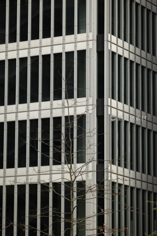 商务建筑办公楼线条结构建筑空镜空景