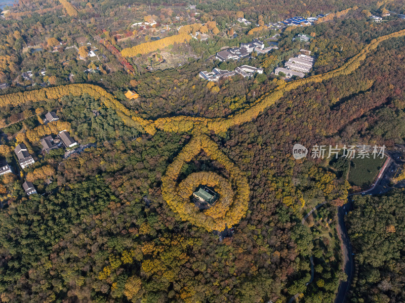 江苏南京中山陵美玲宫浪漫金秋项链日出航拍