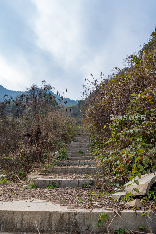 山间长满杂草的荒废石阶路