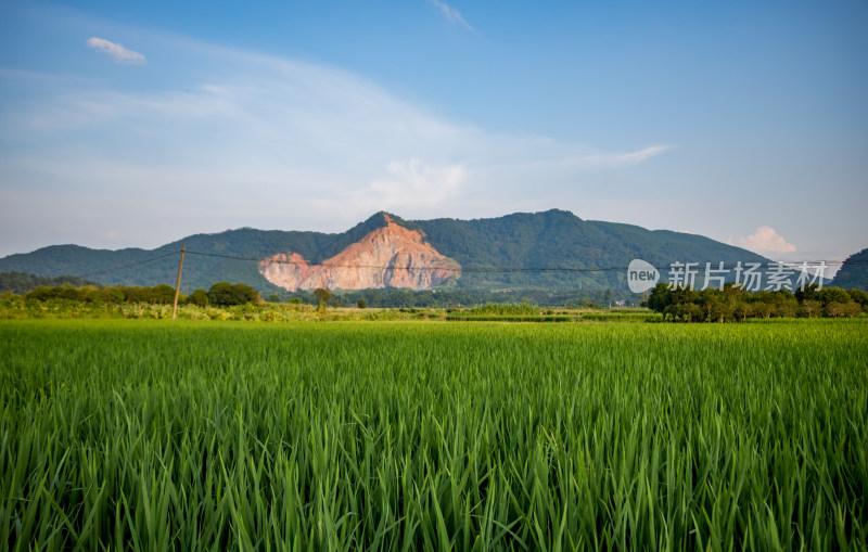 乡间田园