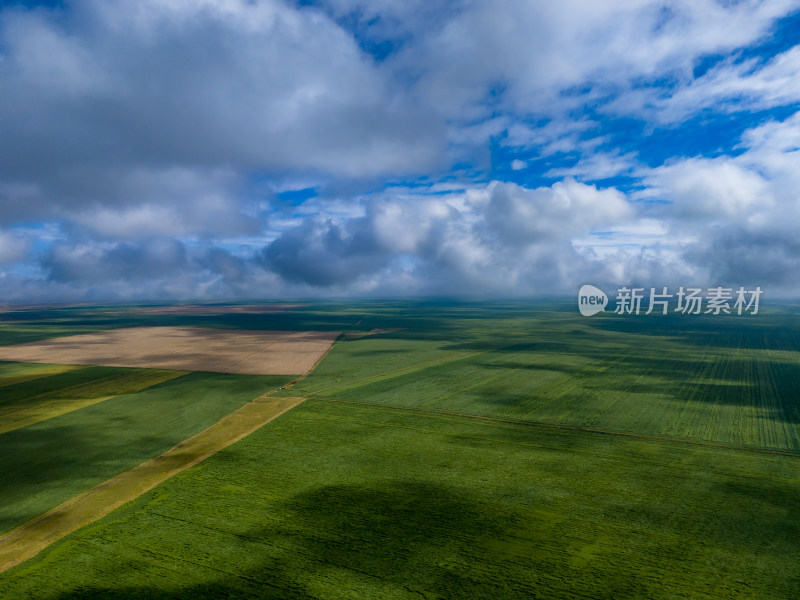 一望无际绿色草原蓝天白云航拍图