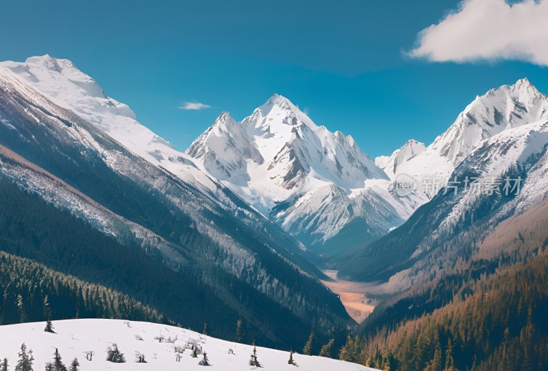 雪山高原草原森林风景