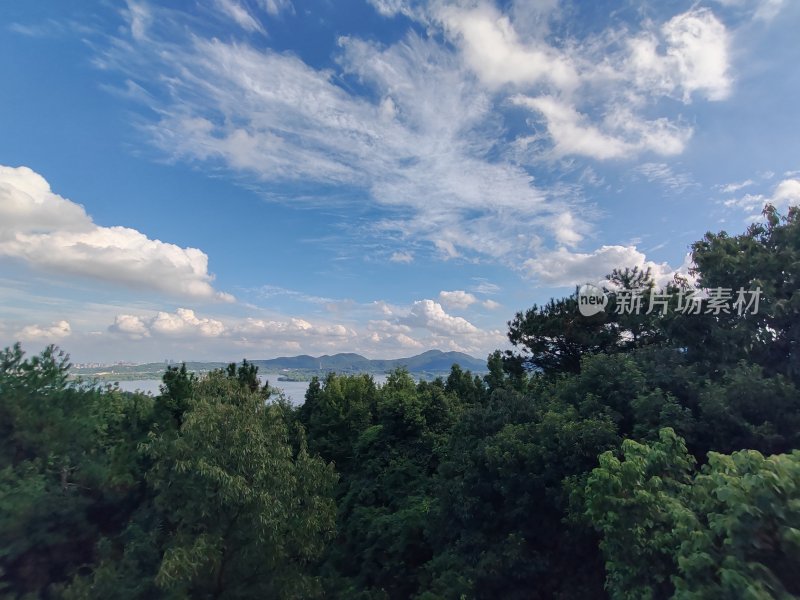 蓝天白云下的山林风光