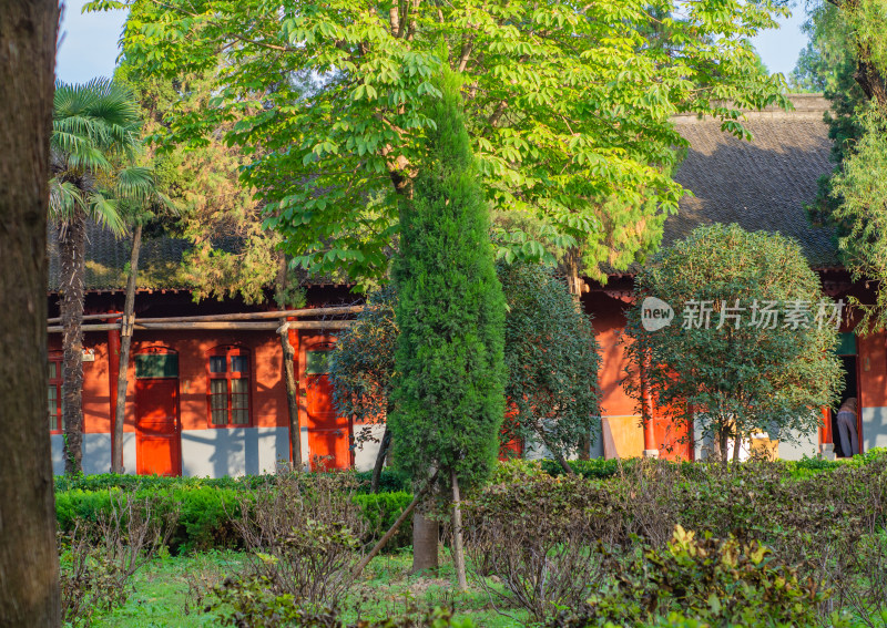 河南洛阳白马寺树木葱茏的古寺环境