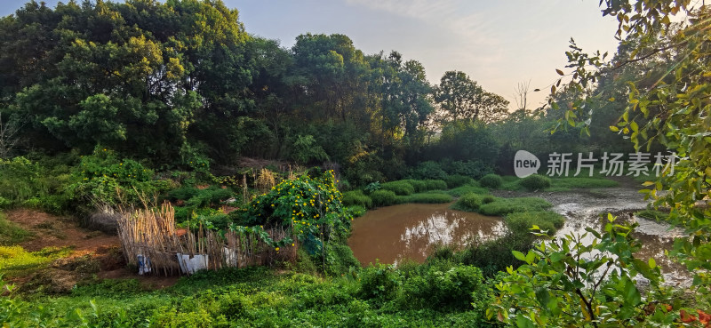 湖南河岸自然风景