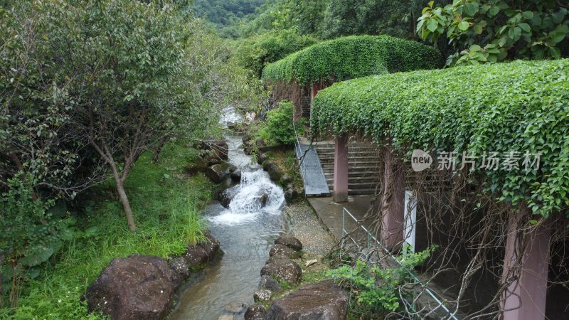 广东东莞：银瓶山树林溪涧流水潺潺