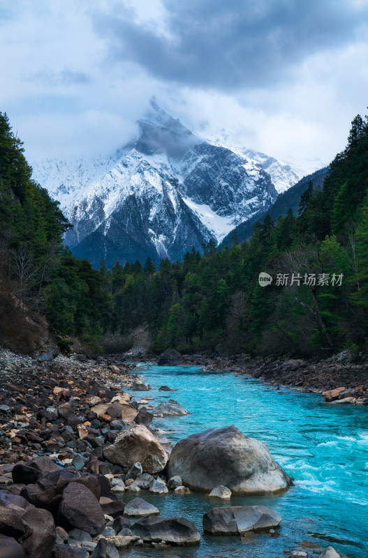 西藏林芝的雪山森林河流