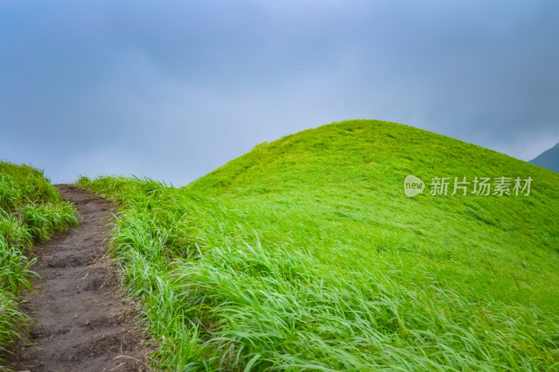 江西武功山高山草甸