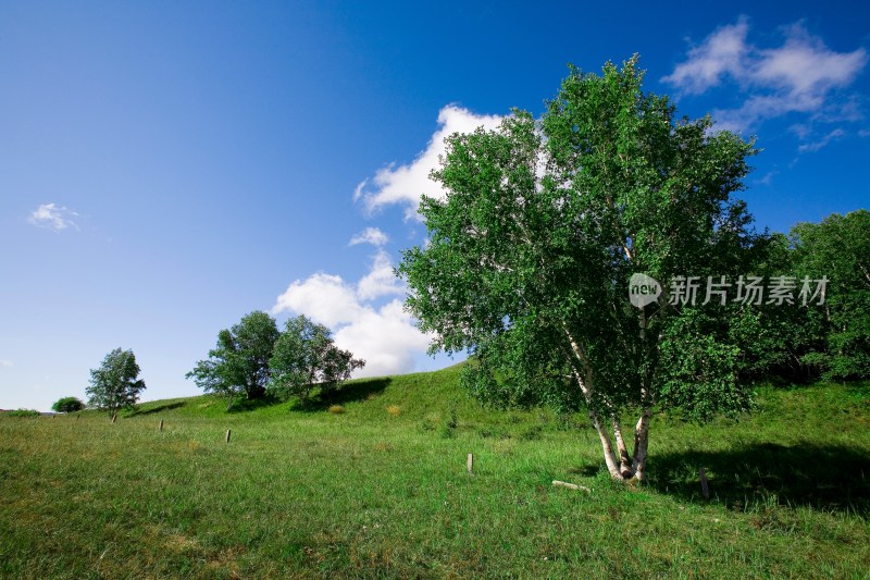 内蒙,坝上,乌兰木统,乌兰木统草原,红山,军马场,草原,草地,