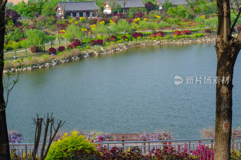 春天的渭南南湖公园湖上风景