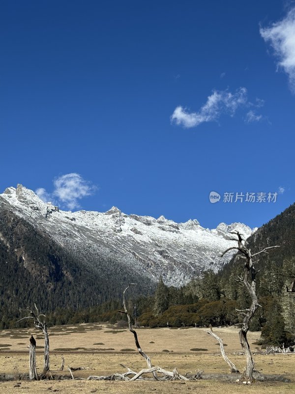 川西稻城亚丁雪山秋景