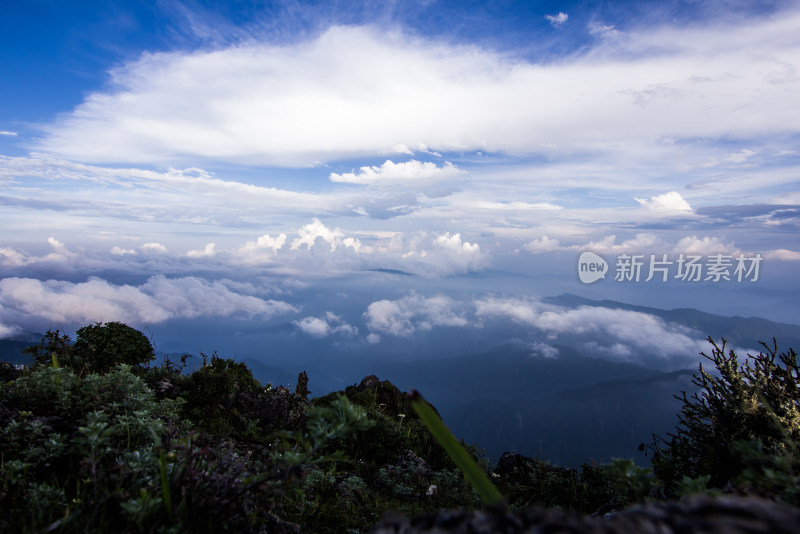 四川雅安牛背山云海