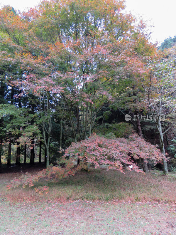 中国江西九江庐山旅游风光