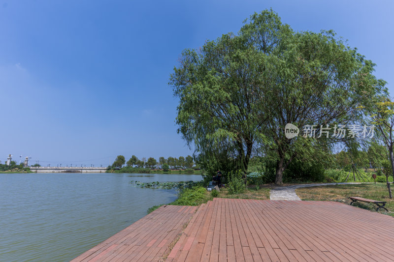 武汉江夏区汤逊湖壹号湿地公园风景