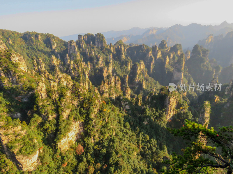 中国湖南张家界国家森林公园旅游风光