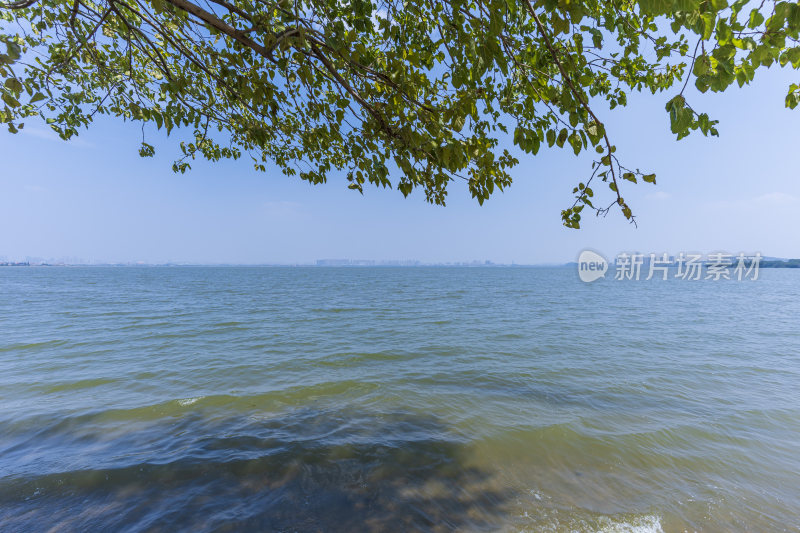 武汉江夏区悦湖公园风景