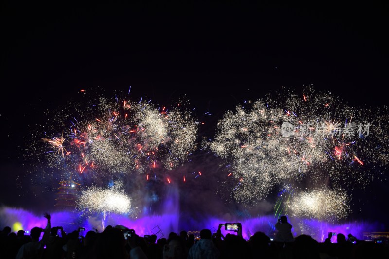 夜空中绽放的绚烂烟花