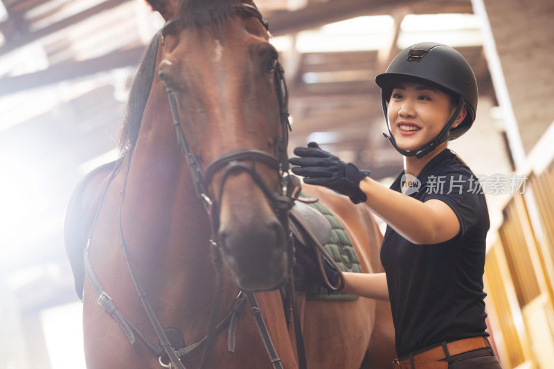 漂亮的年轻女子和马