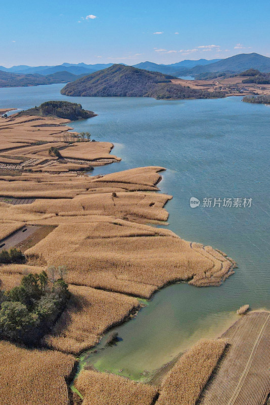 吉林，航拍的松花湖与玉米地