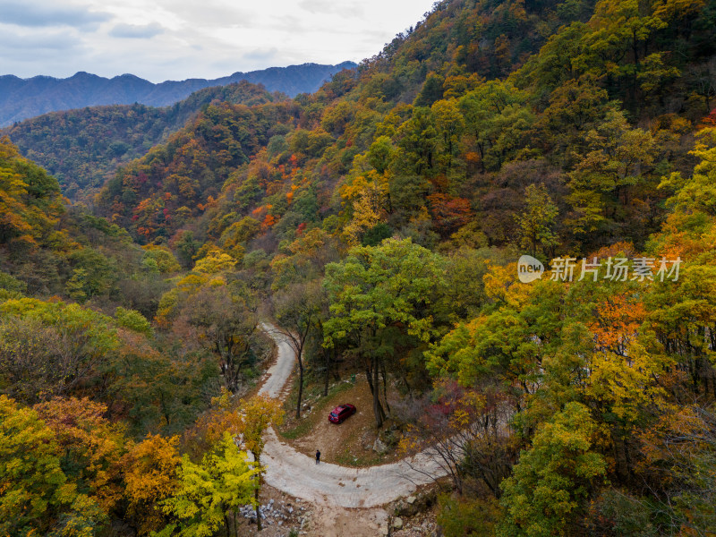 南阳老界岭秋景风光