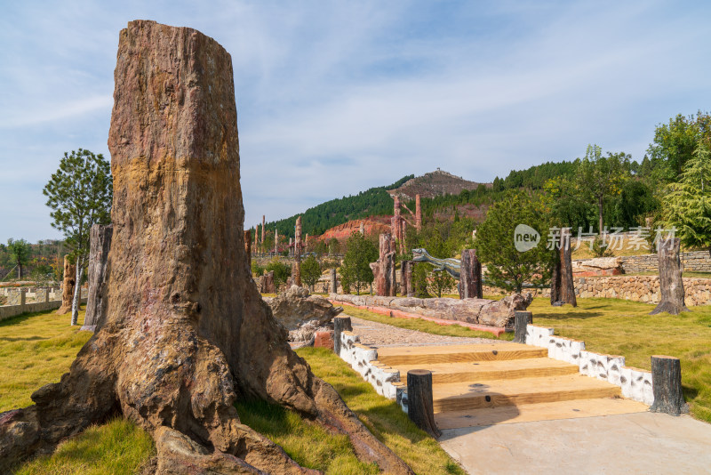 山东青州九龙峪风景区硅化木地质公园