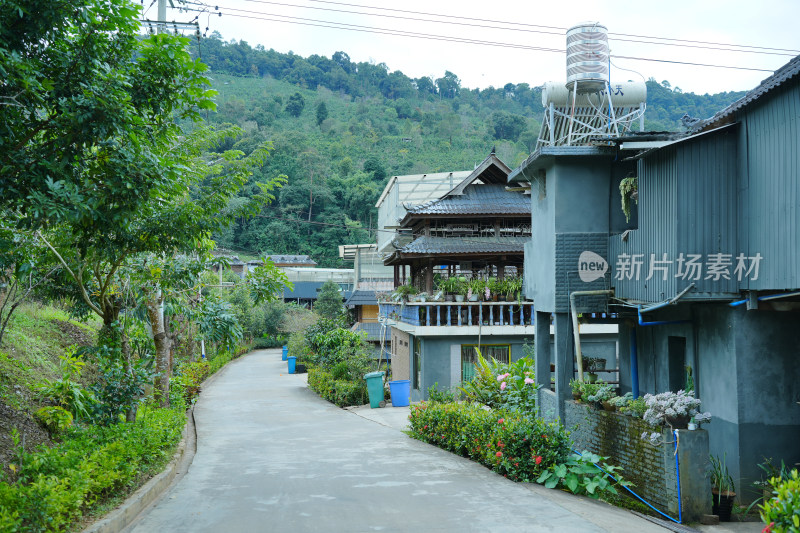 西双版纳现代农村房屋与田园风光